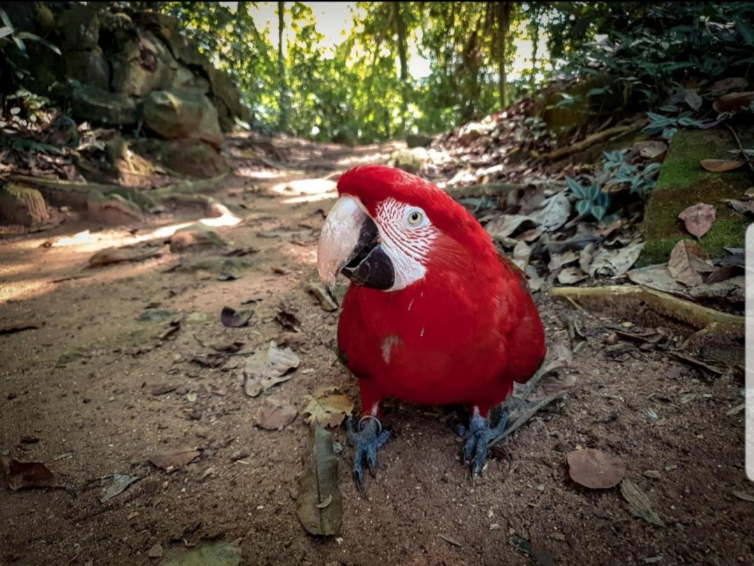Recanto Da Gipoia Angra dos Reis Luaran gambar