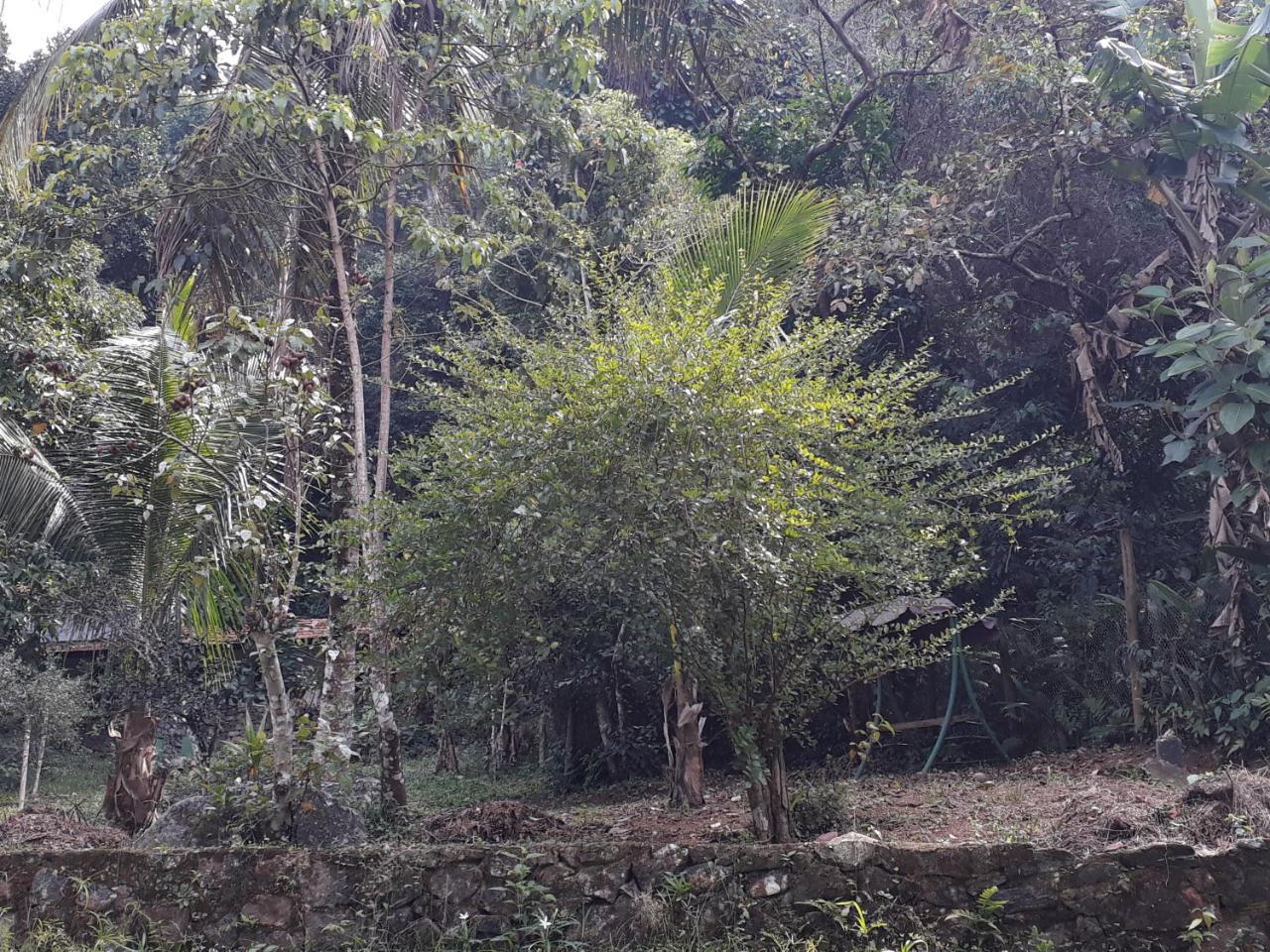 Recanto Da Gipoia Angra dos Reis Luaran gambar